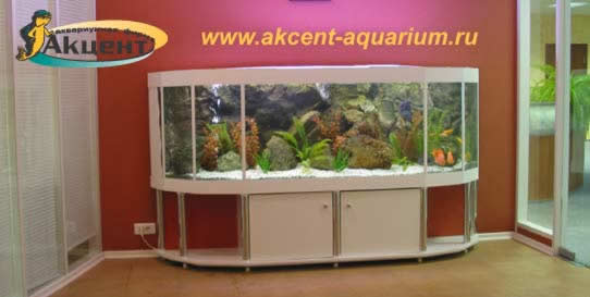 Акцент-Аквариум, аквариум длинной 2,5 метра с объёмным фоном